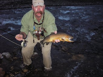 BC Brown Trout