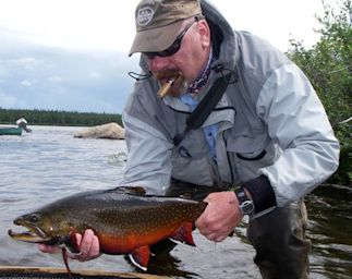 Labrador Brook Trout