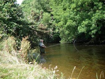 Ireland Stream