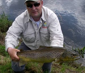 Ireland Brown Trout